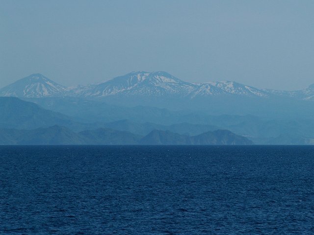 イルカ・フォトギャラリー 平成19年6月1日：すりぶるさん撮影・提供