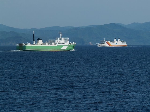 イルカ・フォトギャラリー 平成19年6月1日：すりぶるさん撮影・提供