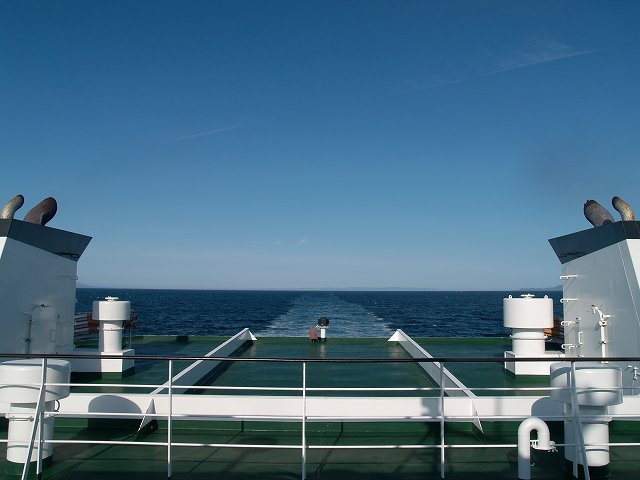 イルカ・フォトギャラリー 平成19年6月1日：すりぶるさん撮影・提供