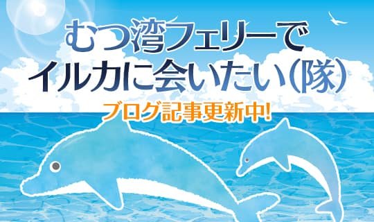 むつ湾フェリーでいるかに会いたい（隊）