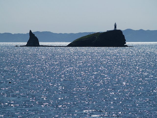 イルカ・フォトギャラリー 平成19年6月1日：すりぶるさん撮影・提供