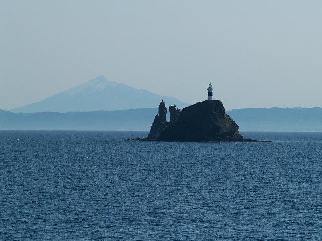 イルカ・フォトギャラリー 平成19年6月1日：すりぶるさん撮影・提供